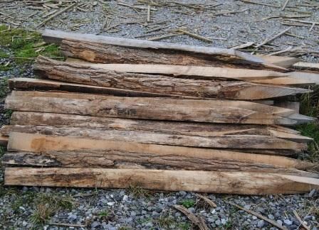 Pieu en acacia fendu longueur 1,50 m diamètre 100 mm
