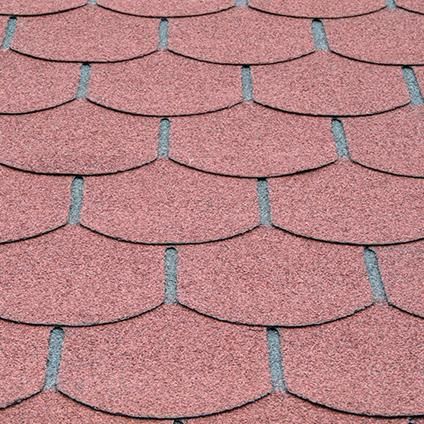 Abri bois 40 mm rignitz 16,22 m² 418x388 cm