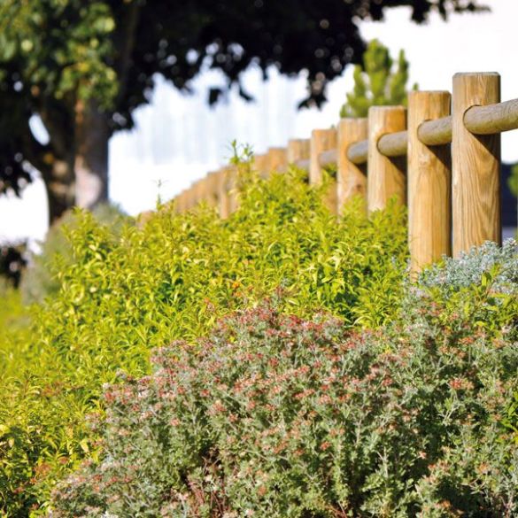 Rondin bois percé 2,00 m Ø140mm pour clôture ranch