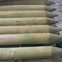 Piquet bois autoclave diam. 100 long. 2,50m en pin traité cl.4