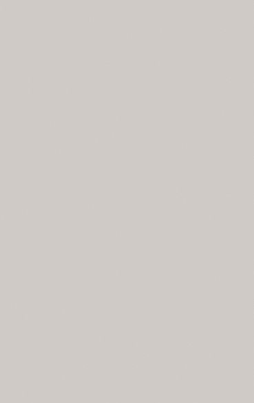 Mélaminé natural grey u12 soft iii 19 mm - 2,85 x 2,10 m
