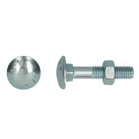 Boulon TRCC avec écrou DIN603 zingué Ø 6x60 mm PGB - Boîte de 200