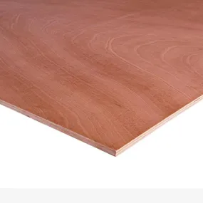 Panneau contreplaqué WBP Ép. 12 mm 250x122 cm 